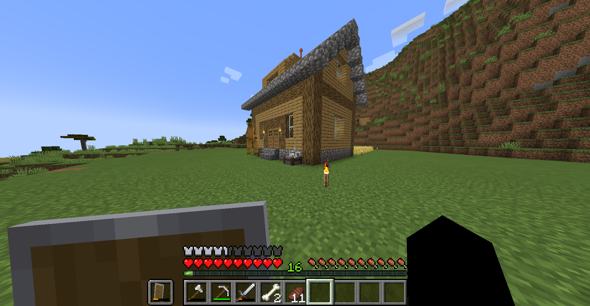 The former server